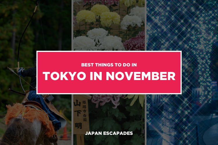 Things to do in Tokyo in November