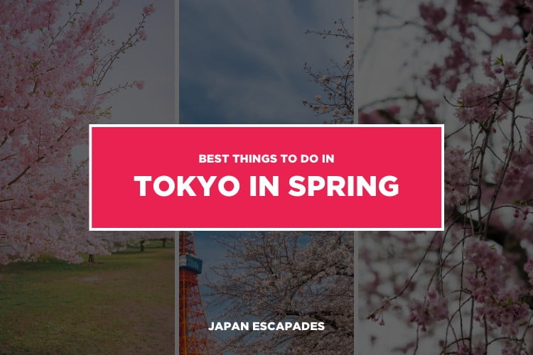 Things to do in Tokyo in Spring