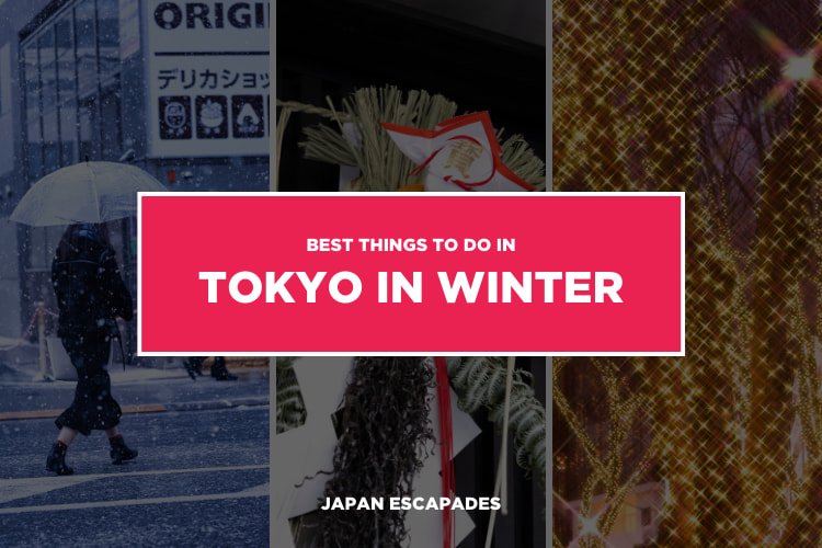 Things to do in Tokyo in Winter
